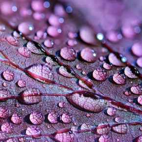 It Rains Like Just About Every Day in Seattle During the&nbsp;Winter