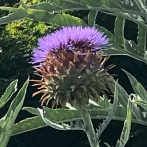 Ballads Are Love Songs,&nbsp;But….